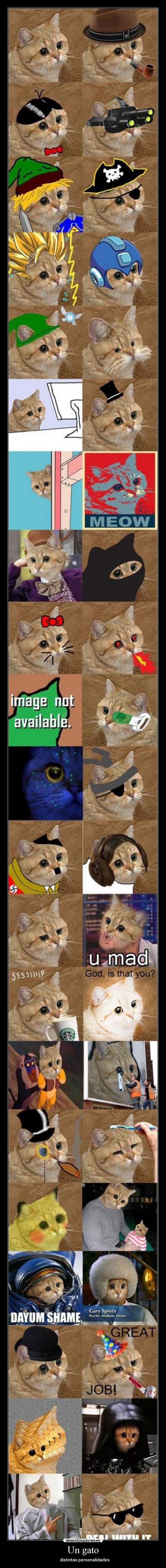carteles gato personalidades darth vader pikachu photoshop sir avatar muchas todos desmotivaciones