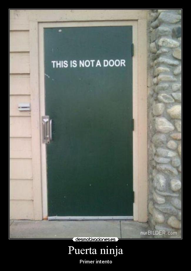 Puerta ninja - 
