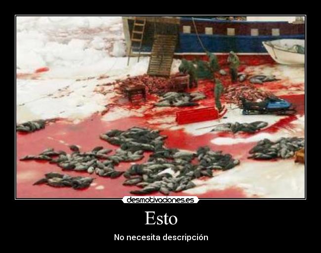 Esto - No necesita descripción