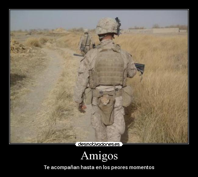 Amigos -