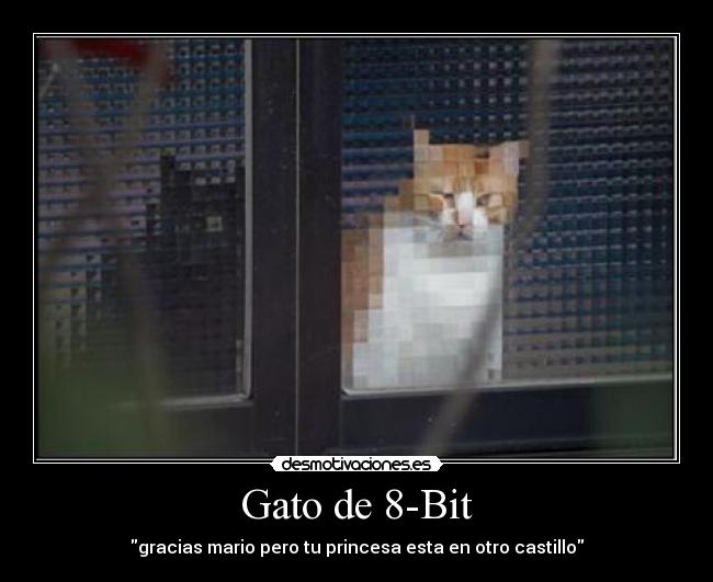 Gato de 8-Bit -