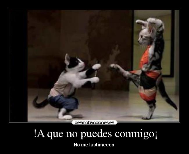 !A que no puedes conmigo¡ - 