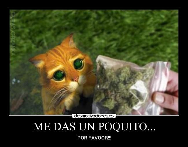 ME DAS UN POQUITO... - POR FAVOOR!!!