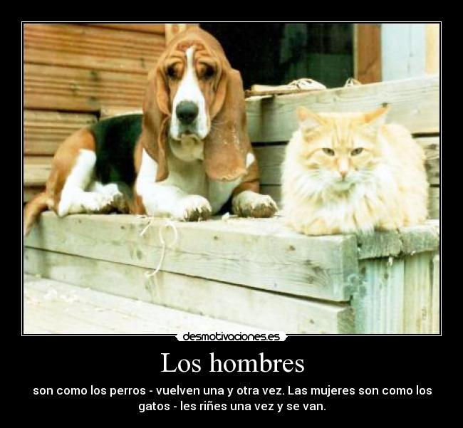 Los hombres - 