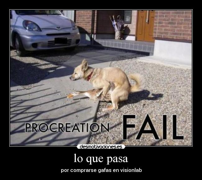 lo que pasa - por comprarse gafas en visionlab