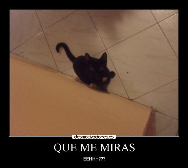 QUE ME MIRAS -