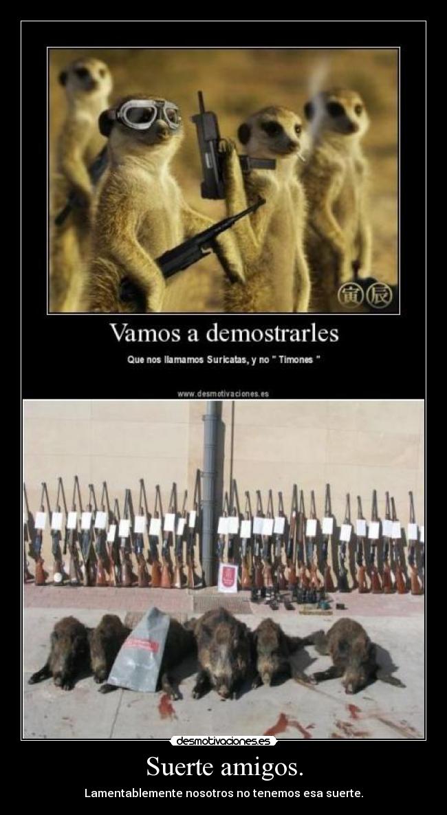 Suerte amigos. -