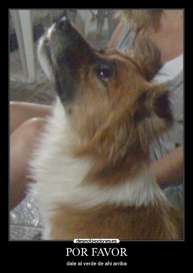 POR FAVOR - dale al verde de ahí arriba