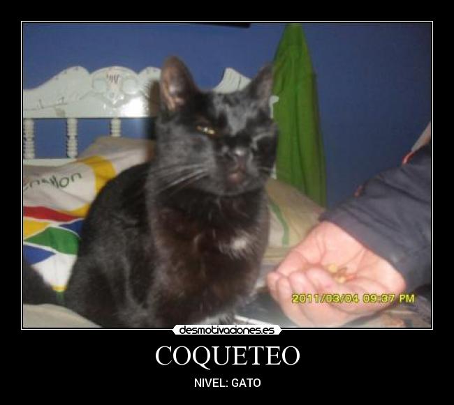 COQUETEO - NIVEL: GATO