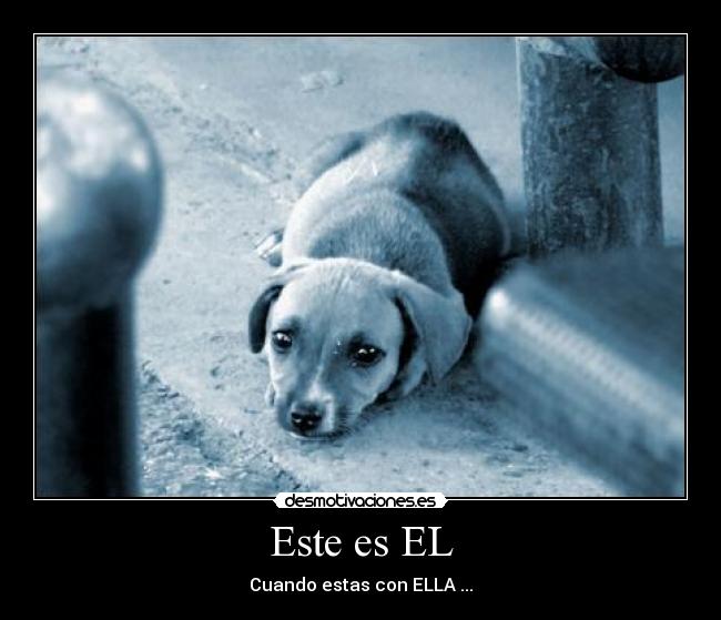 Este es EL - 