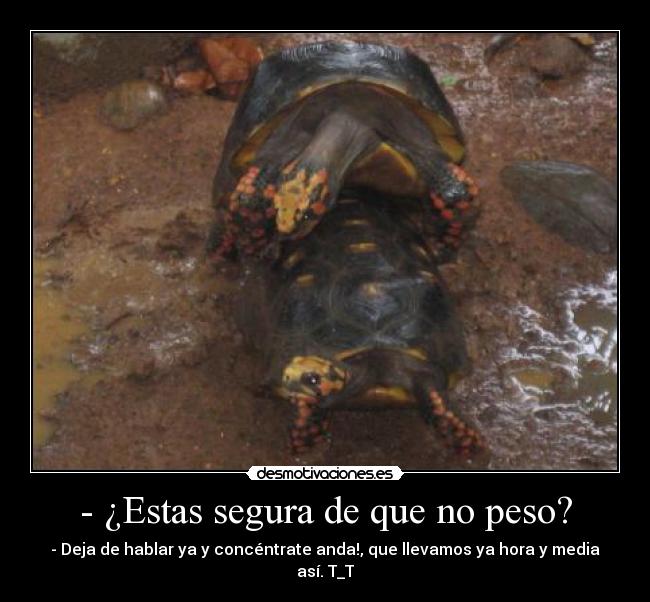 - ¿Estas segura de que no peso? -