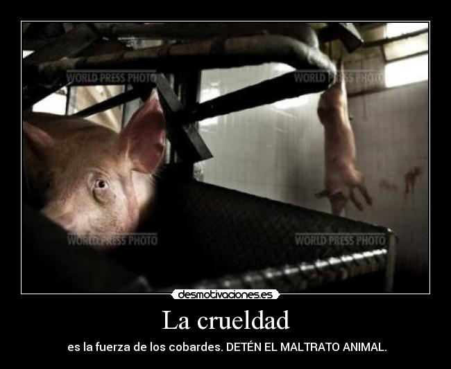 La crueldad -