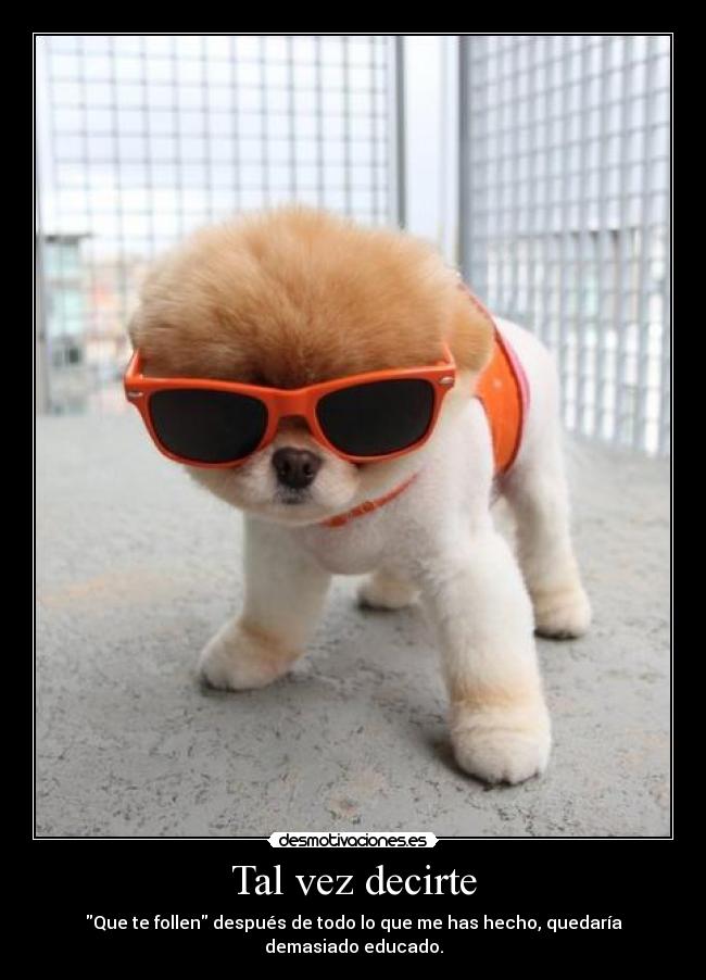 Tal vez decirte - Que te follen después de todo lo que me has hecho, quedaría demasiado educado.