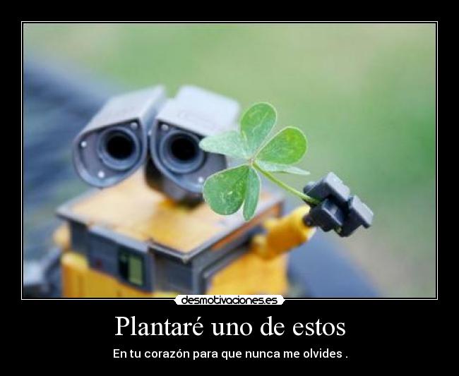 Plantaré uno de estos - 