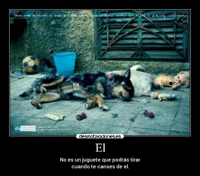 El - No es un juguete que podrás tirar
cuando te canses de el.