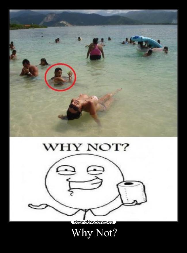 Why Not? - 