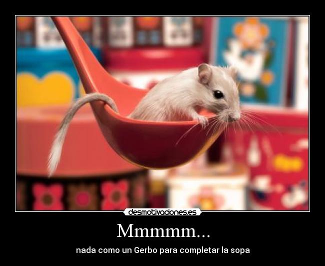 Mmmmm... - nada como un Gerbo para completar la sopa