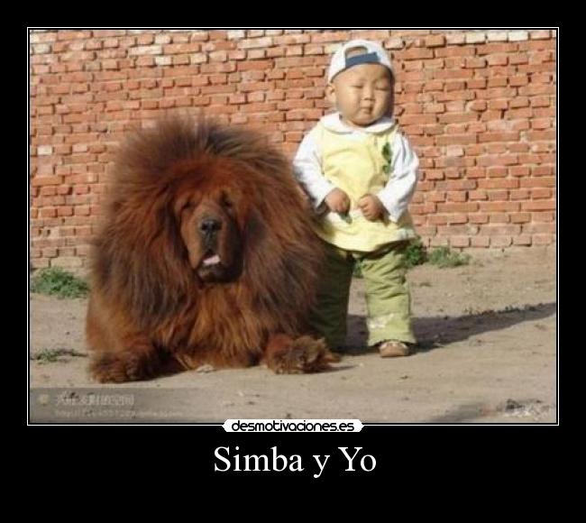 carteles simba rey leon jakunamatata desmotivaciones