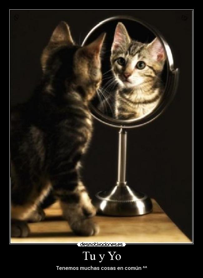 Tu y Yo -