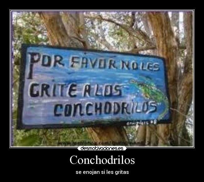 Conchodrilos - se enojan si les gritas