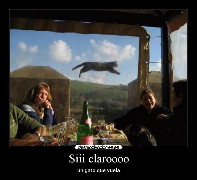 carteles gatosvolador desmotivaciones