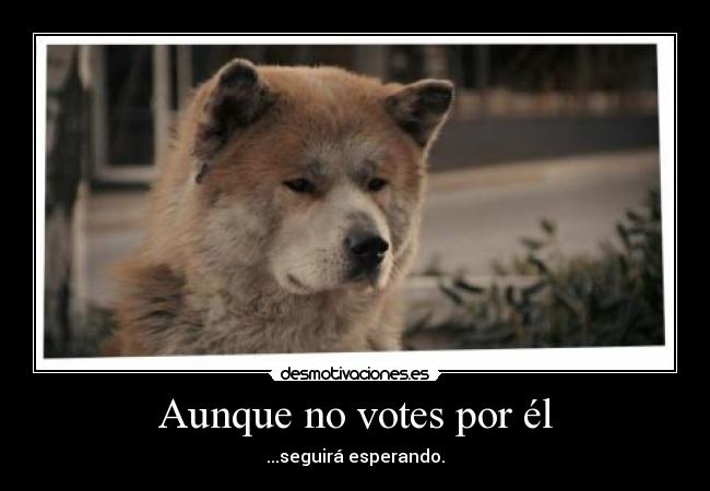 carteles hachiko amigo fiel perro desmotivaciones