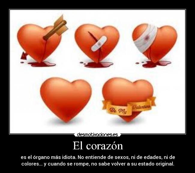 El corazón - es el órgano más idiota. No entiende de sexos, ni de edades, ni de
colores... y cuando se rompe, no sabe volver a su estado original.