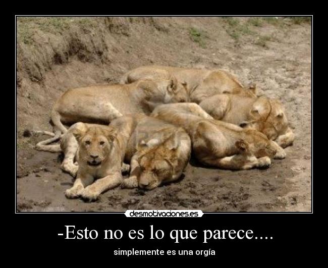 -Esto no es lo que parece.... -