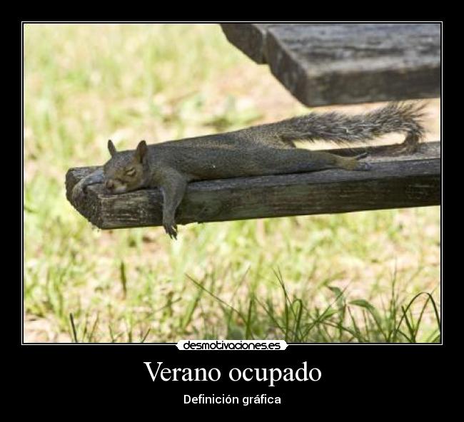 Verano ocupado - 