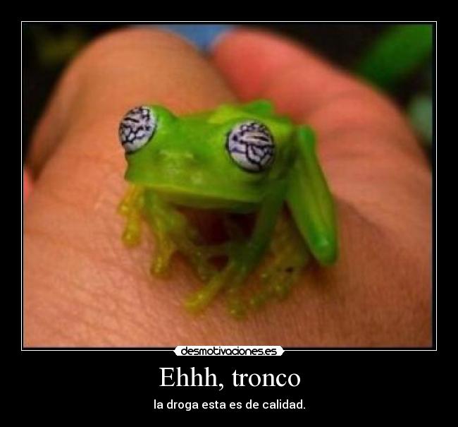 carteles rana desmotivaciones