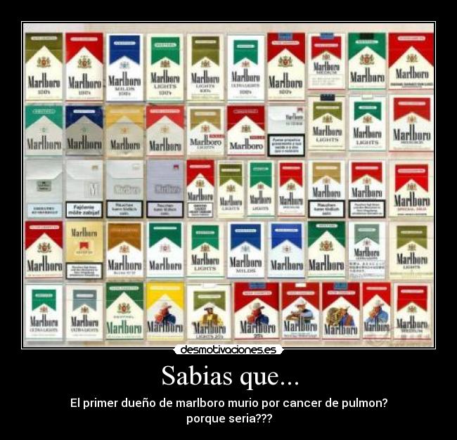Sabias que... -