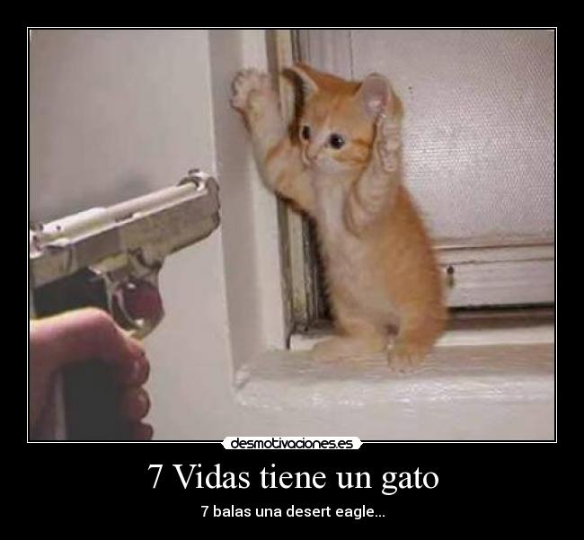 7 Vidas tiene un gato - 7 balas una desert eagle...