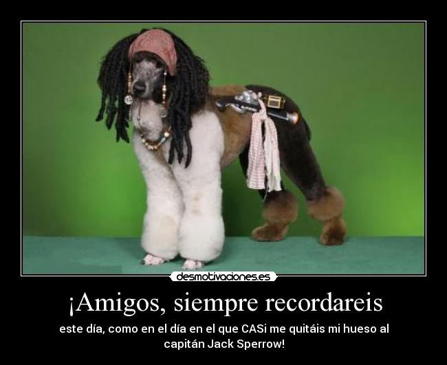 ¡Amigos, siempre recordareis - 