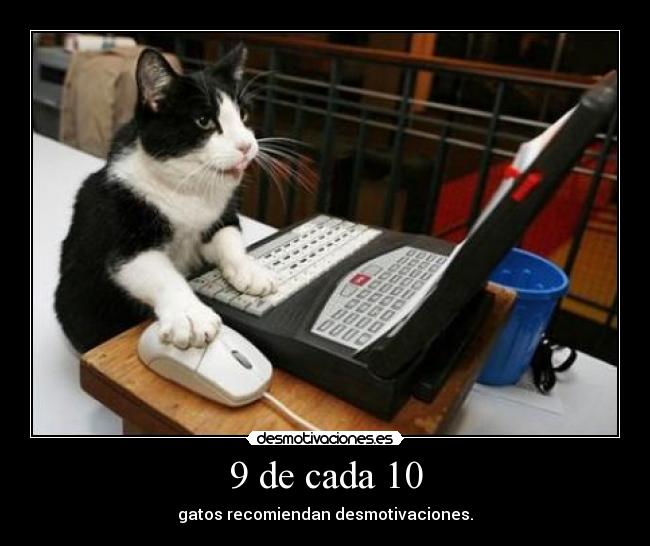 9 de cada 10 - gatos recomiendan desmotivaciones.