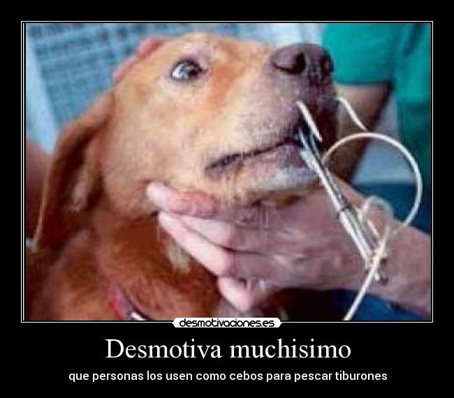 Desmotiva muchisimo -