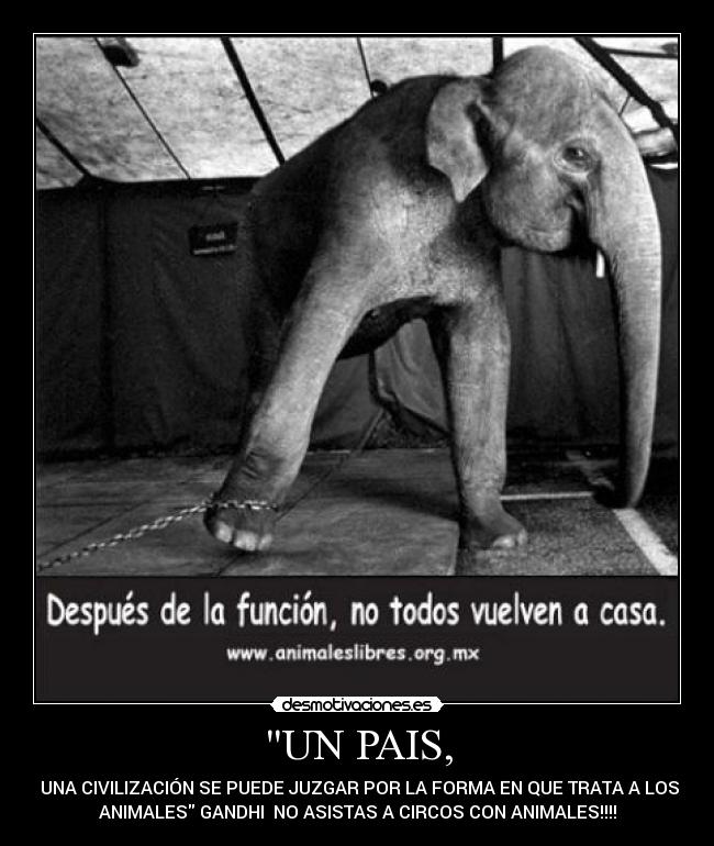 UN PAIS, -  UNA CIVILIZACIÓN SE PUEDE JUZGAR POR LA FORMA EN QUE TRATA A LOS
ANIMALES GANDHI  NO ASISTAS A CIRCOS CON ANIMALES!!!!