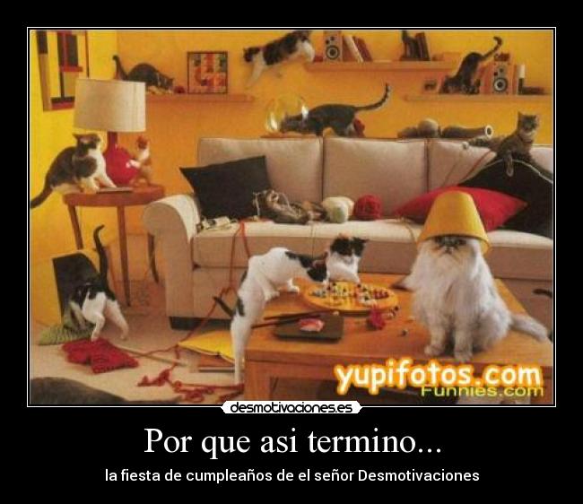 Por que asi termino... -