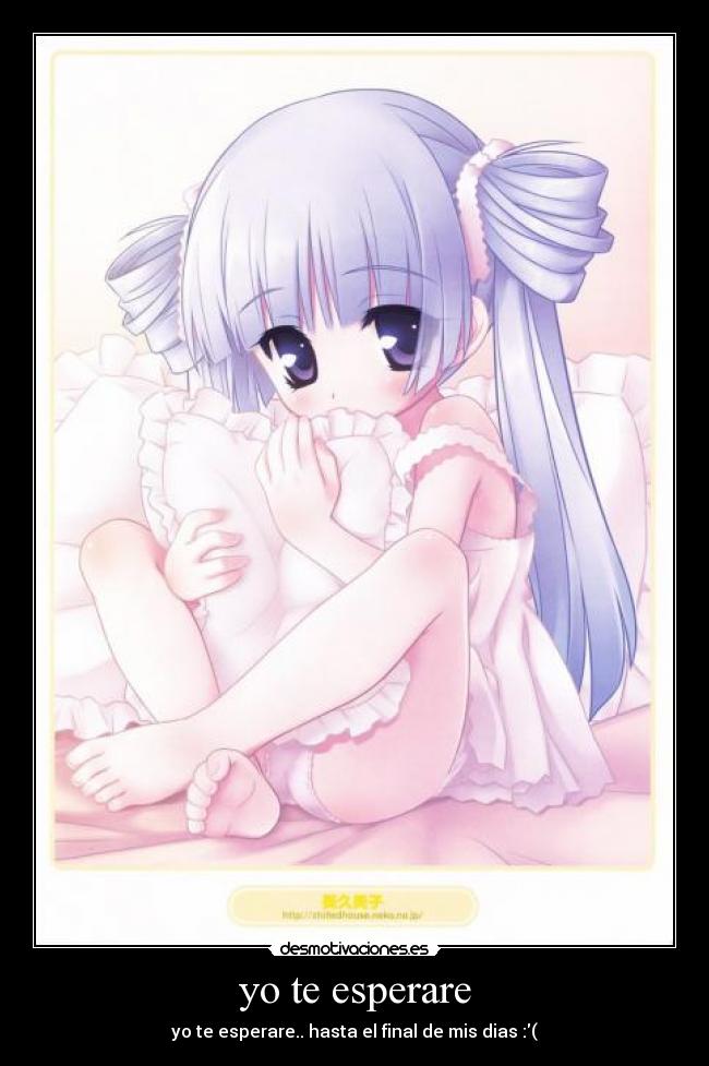 yo te esperare -