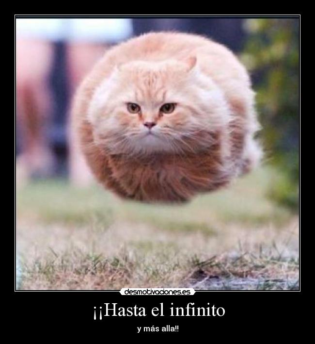 ¡¡Hasta el infinito -