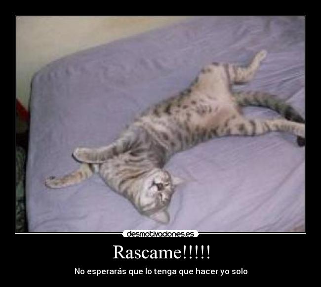 Rascame!!!!! - 