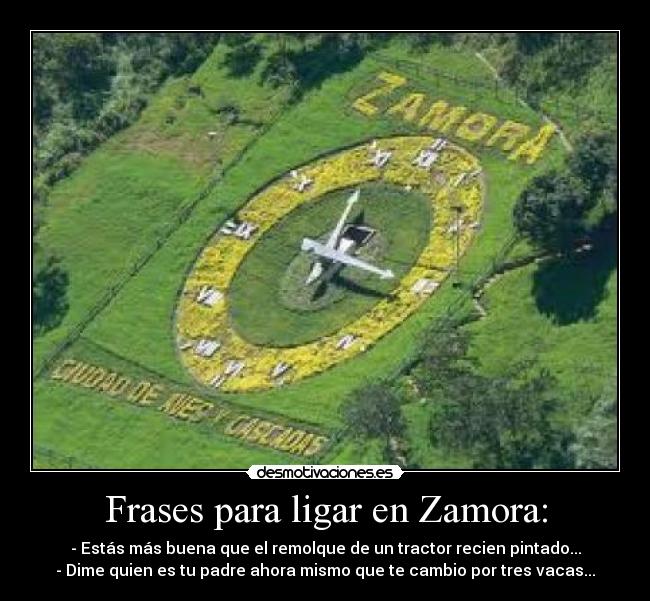 Frases para ligar en Zamora: - - Estás más buena que el remolque de un tractor recien pintado...
- Dime quien es tu padre ahora mismo que te cambio por tres vacas...