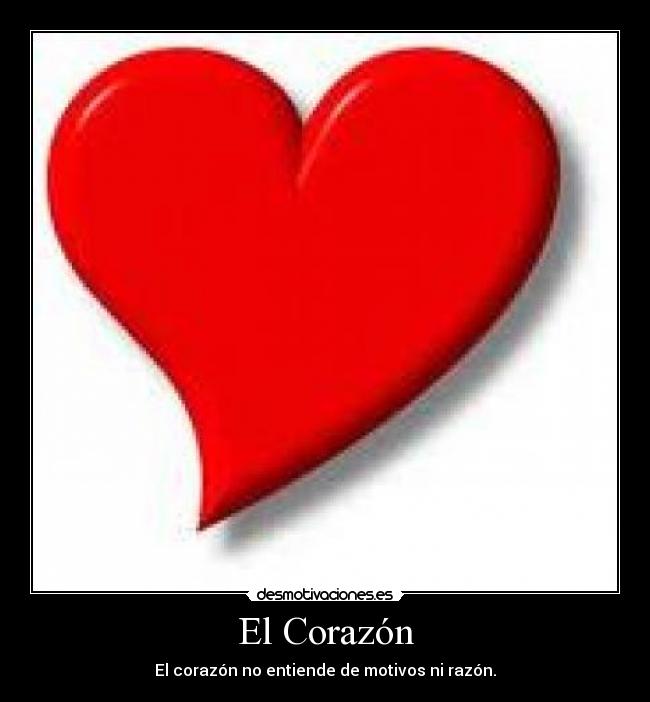 El Corazón - El corazón no entiende de motivos ni razón.