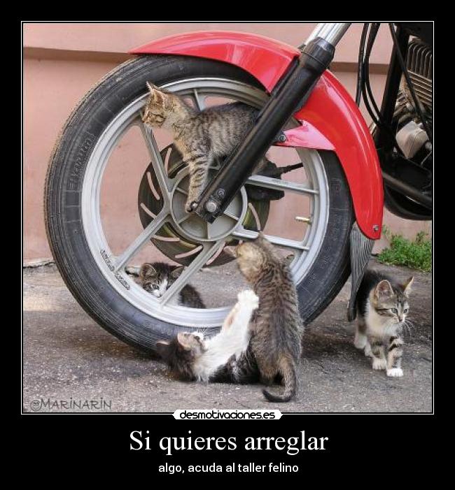 Si quieres arreglar -