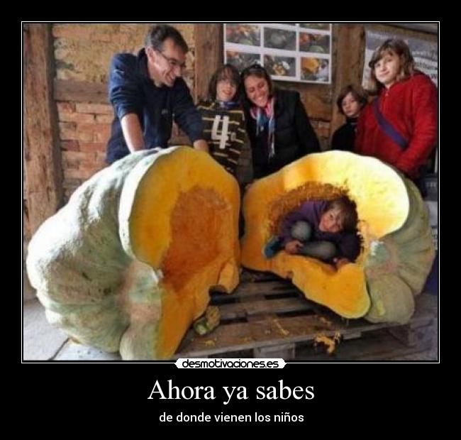 Ahora ya sabes - de donde vienen los niños