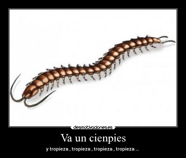 Va un cienpies - y tropieza , tropieza , tropieza , tropieza ...