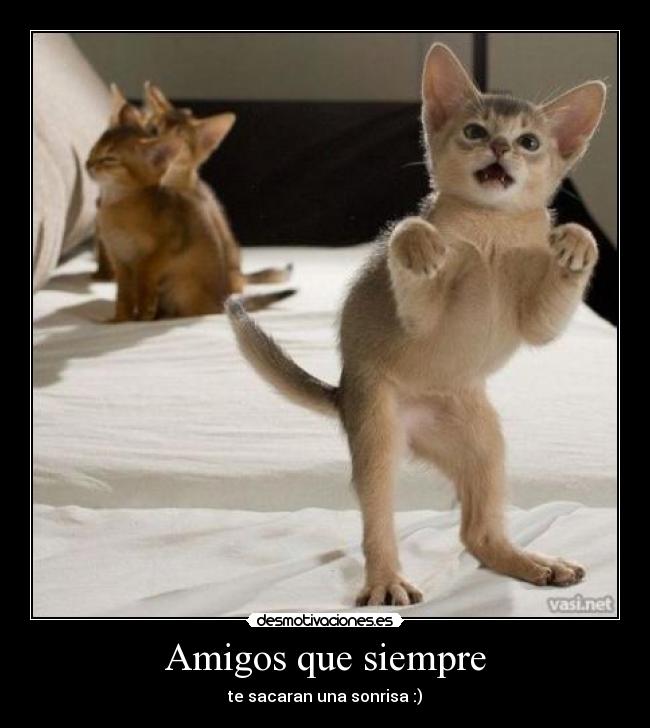 Amigos que siempre -