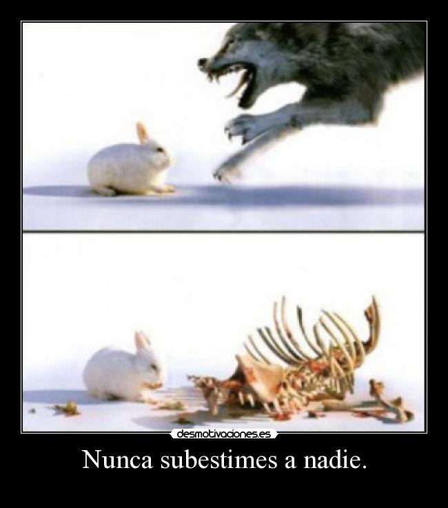 Nunca subestimes a nadie. -