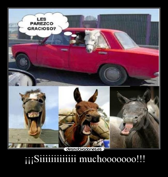 ¡¡¡Siiiiiiiiiiiii muchooooooo!!! -