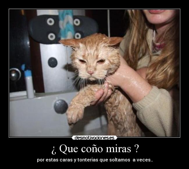 ¿ Que coño miras ? - por estas caras y tonterias que soltamos a veces..