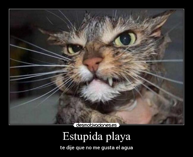 Estupida playa - 